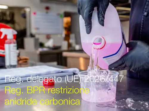 Regolamento delegato (UE) 2026/447